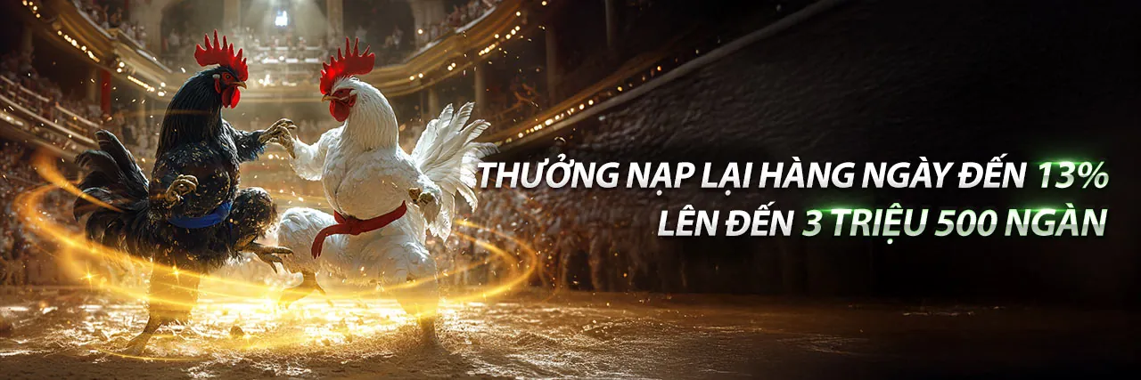 Đá gà trực tuyến hấp dẫn với các chương trình bk8 khuyến mãi độc quyền tại BK8